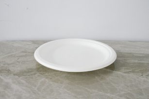 10” Round Bagasse Plate