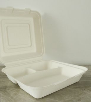 10” 3-comp Bagasse Clamshell Box