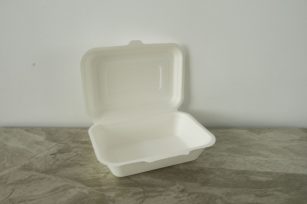 600ml Bagasse Clamshell Box