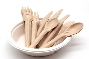 16.2cm Disposable Bagasse Cutlery