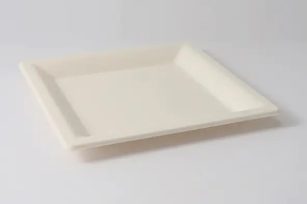 6/8/10” Square Bagasse Plate