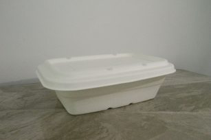 850ml Bagasse Takeaway Box With Lid