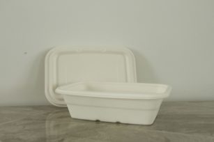 1000ml Bagasse Takeaway Box With Lid