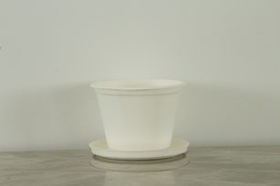 16oz Bagasse Bowl With Lid