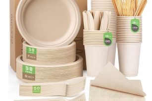 Camping Biodegradable Bagasse Food Tableware Set