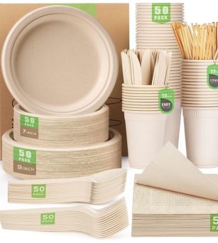 Camping Biodegradable Bagasse Food Tableware Set